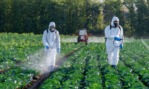 Agriculture Contre l’utilisation des pesticides