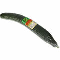 Concombre bio Casino