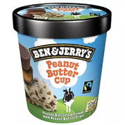 Glace Ben & Jerry Peanut butter cup