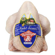 Poulets fermiers d’Auvergne Sedivol