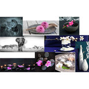 Tableaux en verre Conforama