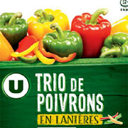 Trio de poivrons U