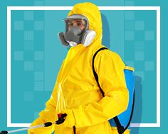 Agriculture - Contre l'utilisation des pesticides